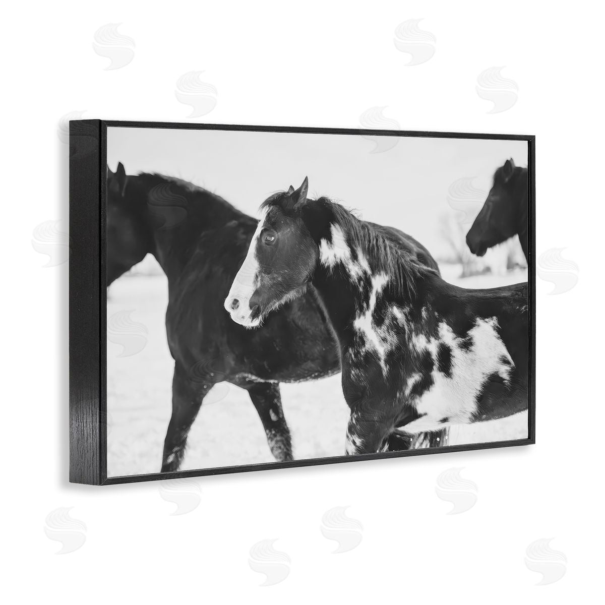 Amy Carroll Black & White Winter Horses Canvas Wall Art Print