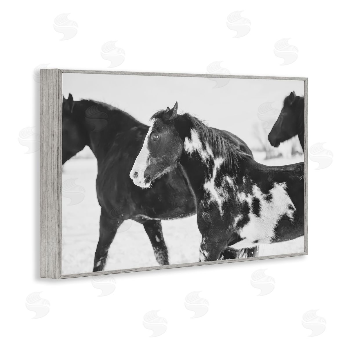 Amy Carroll Black & White Winter Horses Canvas Wall Art Print