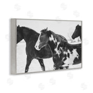 Amy Carroll | Black & White Winter Horses