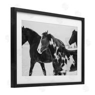 Amy Carroll | Black & White Winter Horses