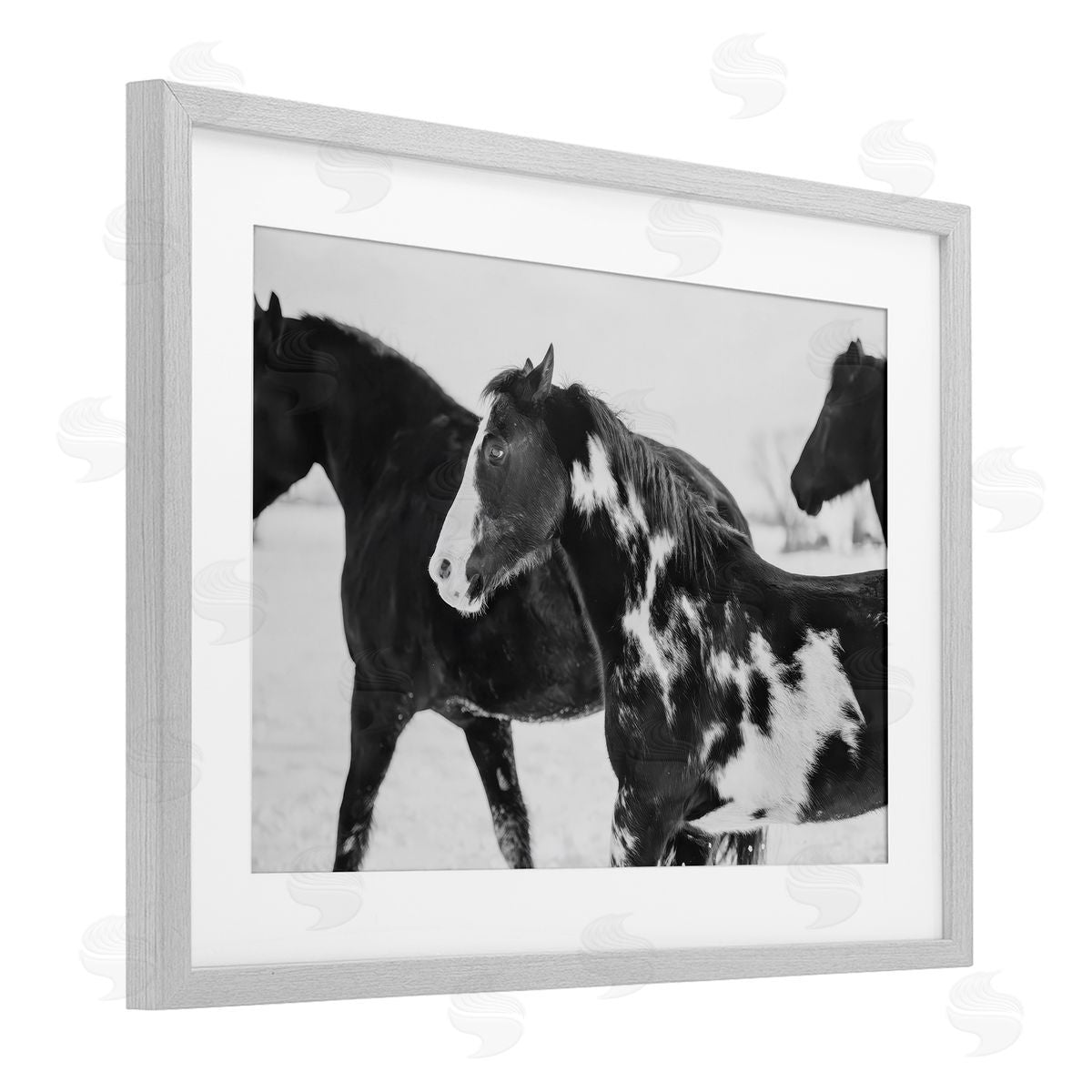 Amy Carroll Black & White Winter Horses Canvas Wall Art Print