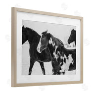 Amy Carroll | Black & White Winter Horses