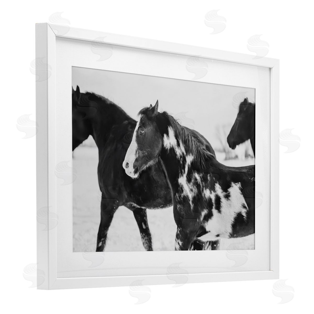 Amy Carroll Black & White Winter Horses Canvas Wall Art Print