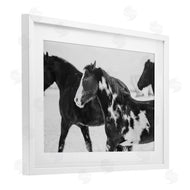 Amy Carroll | Black & White Winter Horses