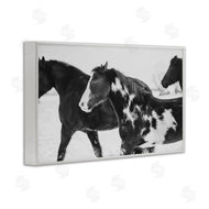 Amy Carroll | Black & White Winter Horses