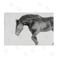 Amy Carroll | Winter Stallion Gallop