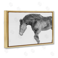 Amy Carroll | Winter Stallion Gallop