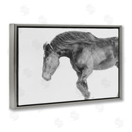 Amy Carroll | Winter Stallion Gallop
