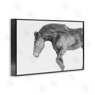 Amy Carroll | Winter Stallion Gallop