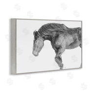 Amy Carroll | Winter Stallion Gallop