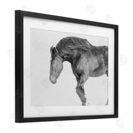 Amy Carroll | Winter Stallion Gallop