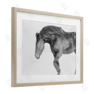 Amy Carroll | Winter Stallion Gallop