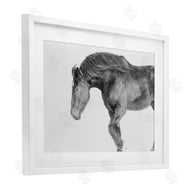 Amy Carroll | Winter Stallion Gallop