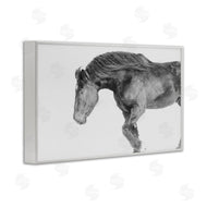 Amy Carroll | Winter Stallion Gallop