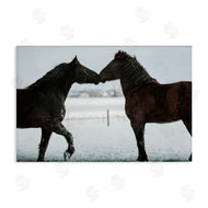 Amy Carroll | Winter Horse Pair