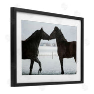 Amy Carroll | Winter Horse Pair