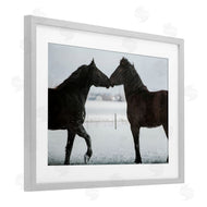Amy Carroll | Winter Horse Pair