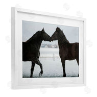 Amy Carroll | Winter Horse Pair