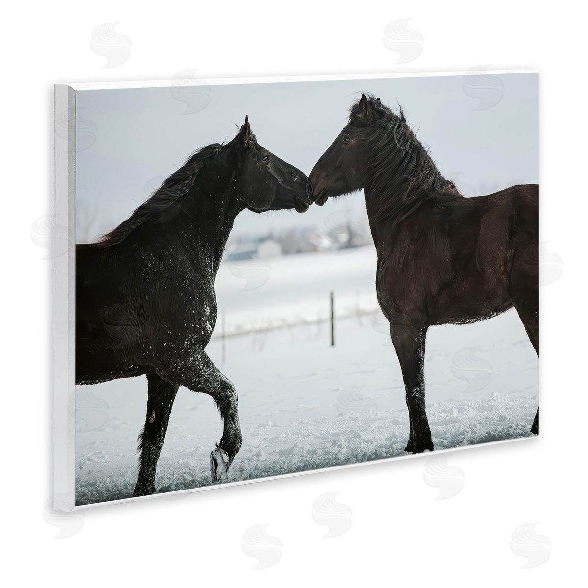 Amy Carroll Winter Horse Pair Canvas Wall Art Print