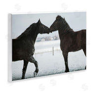 Amy Carroll | Winter Horse Pair