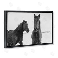 Amy Carroll | Draisma Hirdes Winter Horses