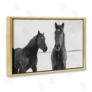 Amy Carroll | Draisma Hirdes Winter Horses