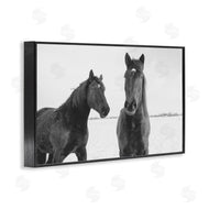 Amy Carroll | Draisma Hirdes Winter Horses