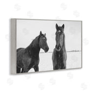 Amy Carroll | Draisma Hirdes Winter Horses