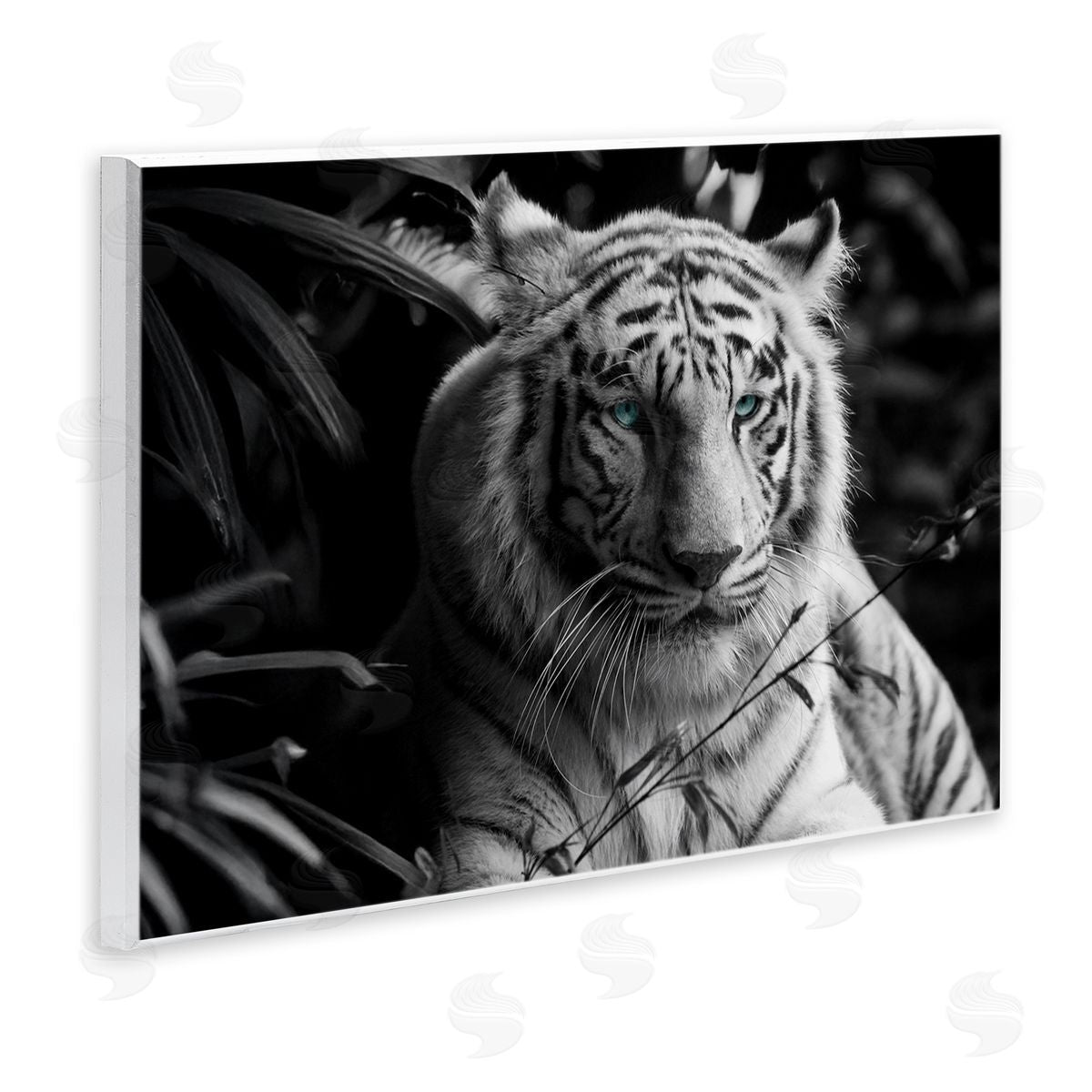 Annabelle Hall | Tiger Among Jungle Plants