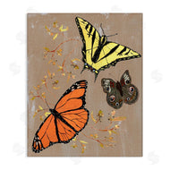Kara Keller Designs | Butterfly Collage with Herbs