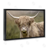 Kim Allen | Highland Dreams Cattle Portrait
