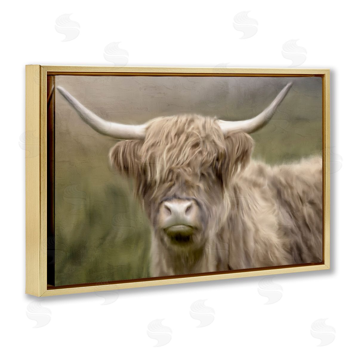 Kim Allen | Highland Dreams Cattle Portrait