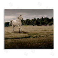 Marcus Prime | Galloping Through Field Horse