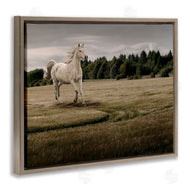 Marcus Prime | Galloping Through Field Horse