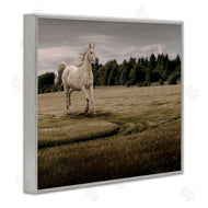 Marcus Prime | Galloping Through Field Horse