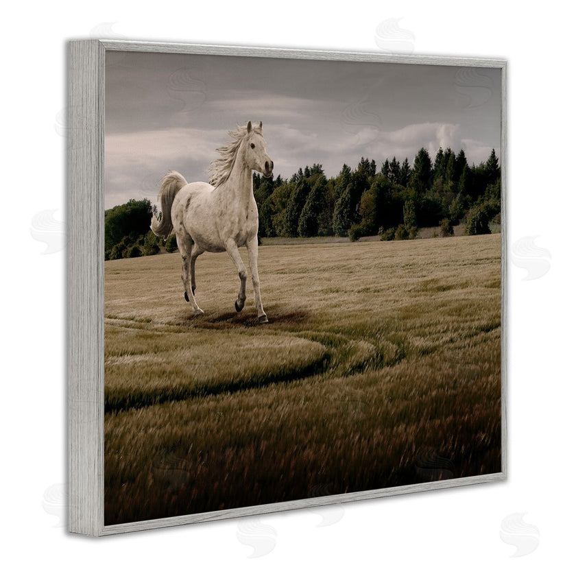 Marcus Prime | Galloping Through Field Horse