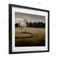 Marcus Prime | Galloping Through Field Horse