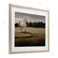 Marcus Prime | Galloping Through Field Horse