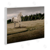 Marcus Prime | Galloping Through Field Horse