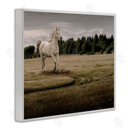 Marcus Prime | Galloping Through Field Horse