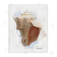 Matthew Piotrowicz | Honeybloom Coastal Conch