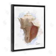 Matthew Piotrowicz | Honeybloom Coastal Conch
