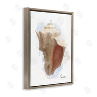 Matthew Piotrowicz | Honeybloom Coastal Conch