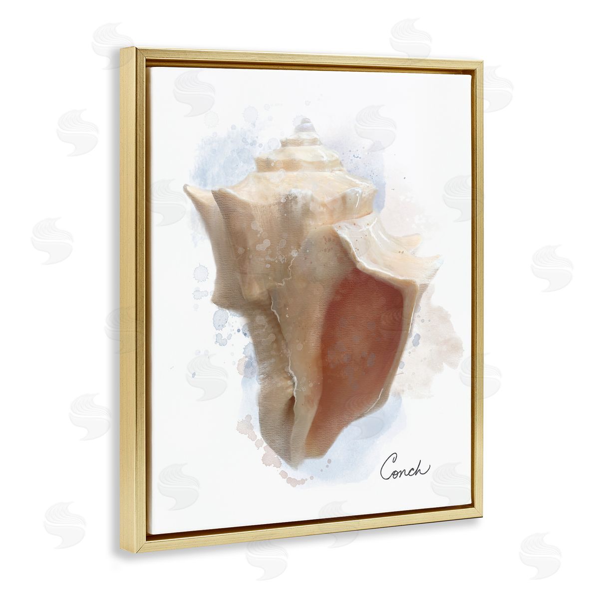Matthew Piotrowicz Honeybloom Coastal Conch Canvas Wall Art Print