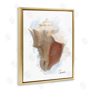 Matthew Piotrowicz | Honeybloom Coastal Conch