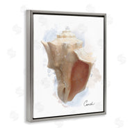 Matthew Piotrowicz | Honeybloom Coastal Conch