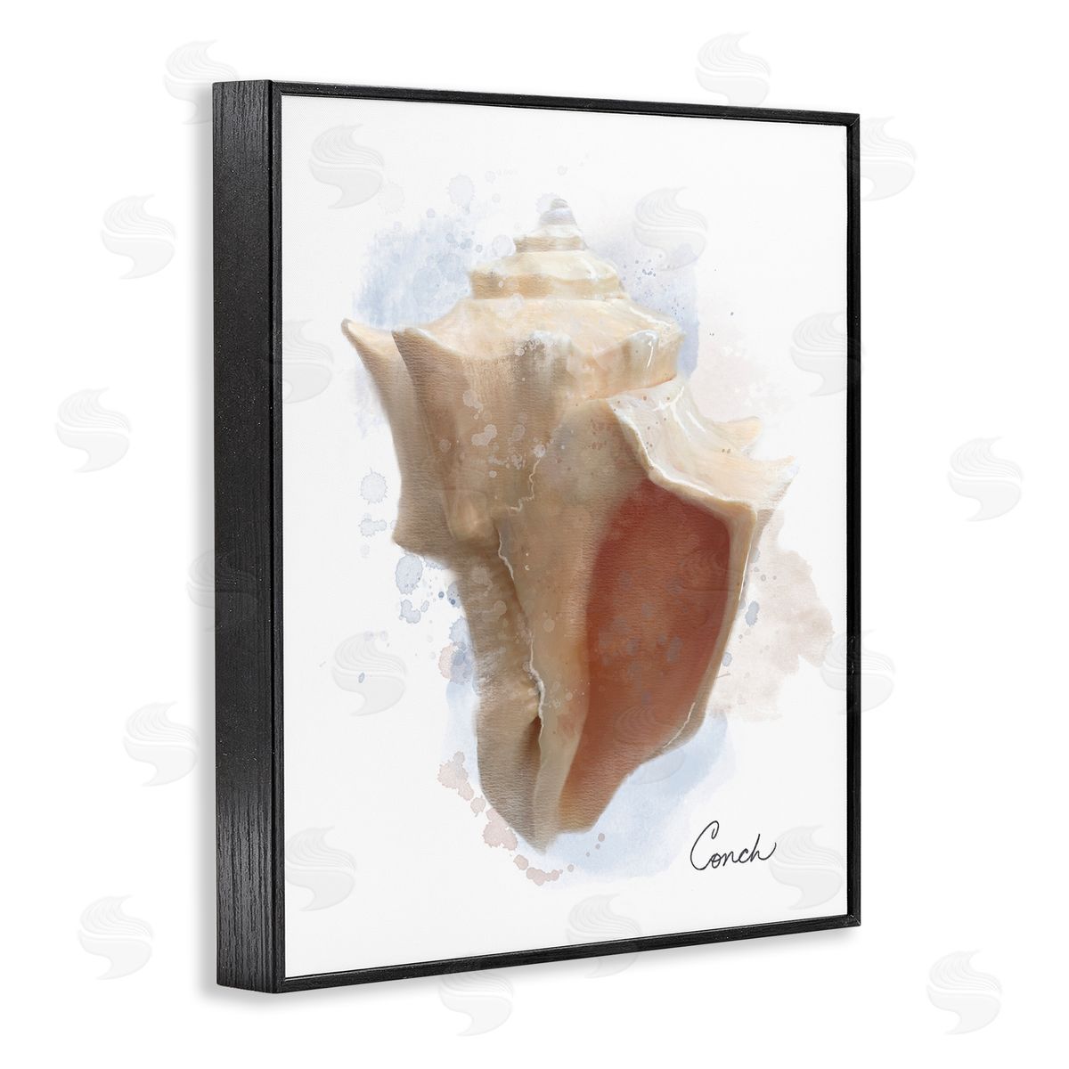 Matthew Piotrowicz Honeybloom Coastal Conch Canvas Wall Art Print