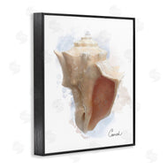 Matthew Piotrowicz | Honeybloom Coastal Conch