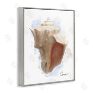 Matthew Piotrowicz | Honeybloom Coastal Conch