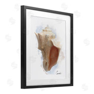 Matthew Piotrowicz | Honeybloom Coastal Conch
